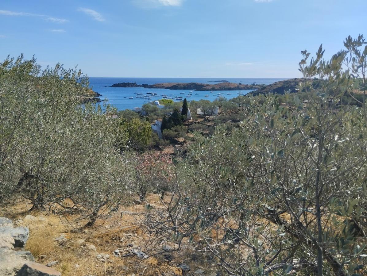 Apartment Atico Terrace: Mountain & Marina Views With Pool